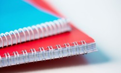 Etiam dictum egestas