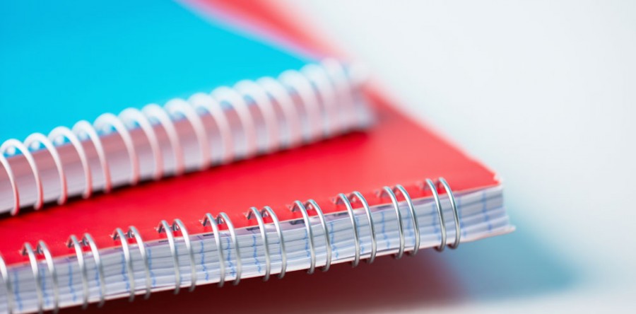 Etiam dictum egestas